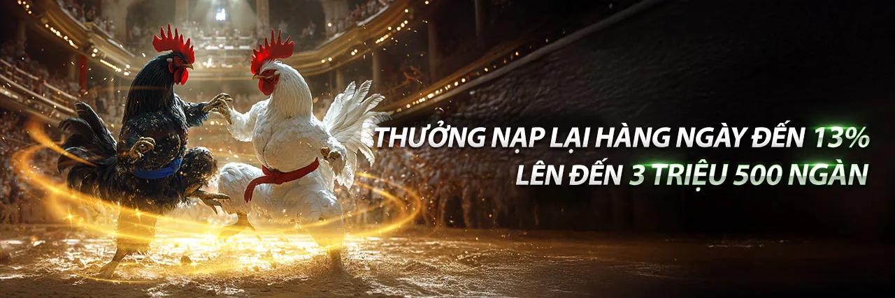 Sân vận động với ánh đèn rực rỡ và không khí cá cược thể thao sôi động tại 8kbrt win